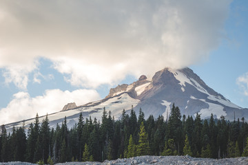 Mount Hood and Forest Landscape
