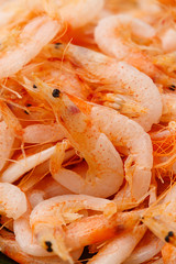 桜海老の釜揚げ