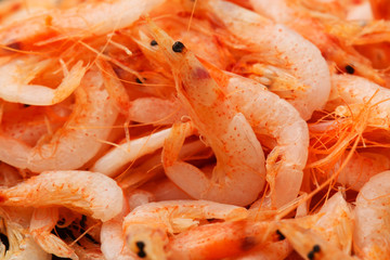 桜海老の釜揚げ