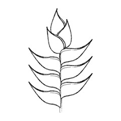 cute flower decorative icon vector illustration design