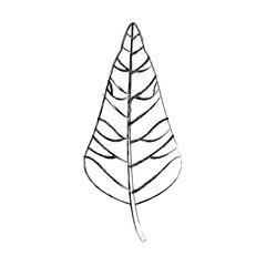 leaf plant decorative isolated icon vector illustration design