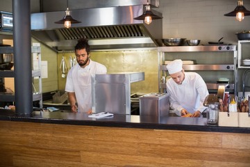 Fototapeta na wymiar Chefs working in commercial kitchen