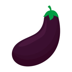 eggplant vegetable icon over white background. colorful design. vector illustration