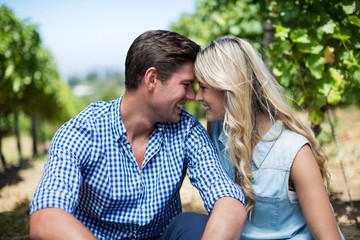 Obraz premium Happy young couple sitting at vineyard