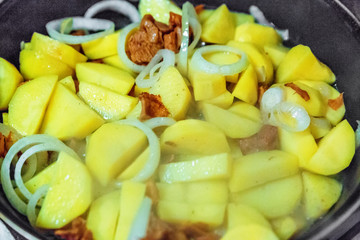 Potato with mushrooms and onion