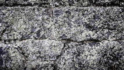 Obraz premium Stone Wall Background