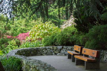 Obraz premium A beautiful garden