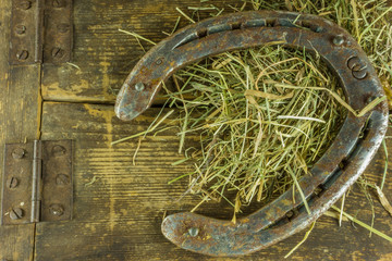 Old horseshoe with hay on a rustic wooden background