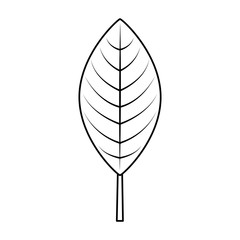 woodland floral decorative icon vector illustration design