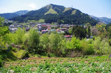 檜原村の風景 © ほじん