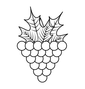 grapes fresh fruit icon vector illustration design