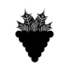 grapes fresh fruit icon vector illustration design