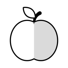 apple fresh fruit icon vector illustration design