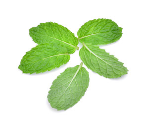 fresh mint leaf isolated on white background