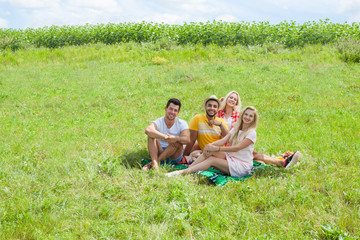 Friends picnic people group sitting blanket outdoor green grass two couple summer sunny day blue sky