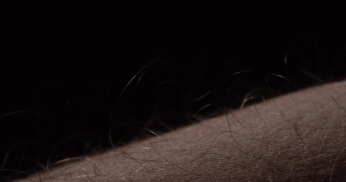 Male Arm Hairs Respond to Static Electricity Macro