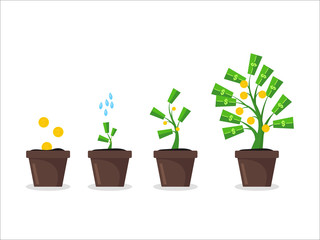 Money Tree Growing in Pot. Vector