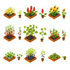 Obraz premium Plant Seedling and Elements Set Isometric View. Vector