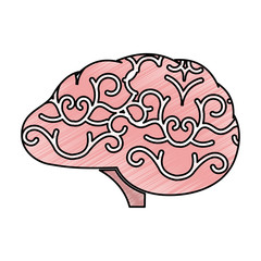 storm brain isolated icon vector illustration design