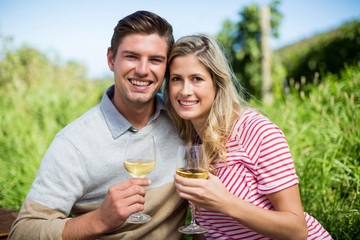 Smiling young couple embracing while holding wineglasses