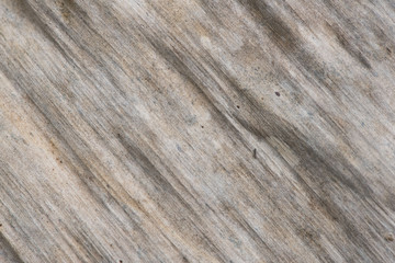 banana leaf dry
