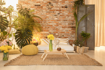 Cozy botanic room