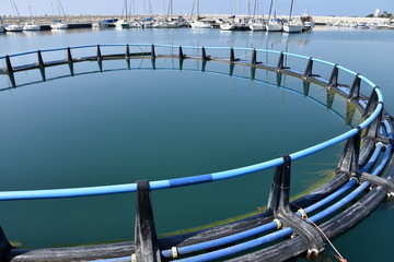 fish farm 