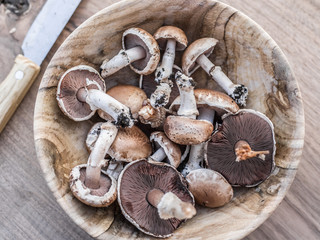 Champignon mushrooms in the bowl on the wooden table.