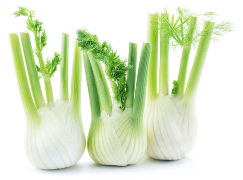 Florence Fennel Bulbs.