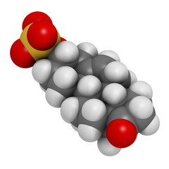 Dehydroepiandrosterone sulfate (DHEA-S) natural hormone molecule. 3D rendering. Atoms are represented as spheres with conventional color coding.
