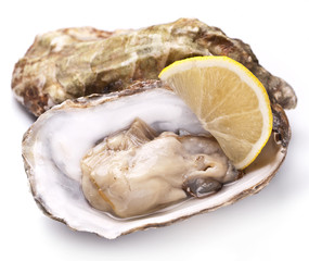Raw oyster and lemon on a whte background.