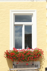 Fototapeta na wymiar Fenster, Blumenkasten