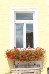 Fototapeta na wymiar Fenster, Blumenkasten