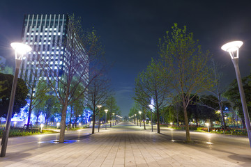 Fototapeta premium お台場の夜景