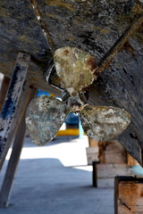 boat propeller