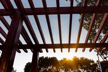 Low Angle View Of Wooden Ceiling Against Tree At Park in Shanghai,China.