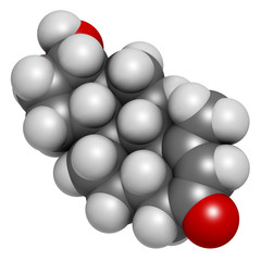 Metenolone anabolic steroid molecule. Used (banned) in sports doping. 3D rendering. Atoms are represented as spheres with conventional color coding: hydrogen (white), carbon (grey), oxygen (red).