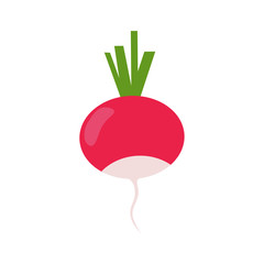 Radish vector illustration. Flat design