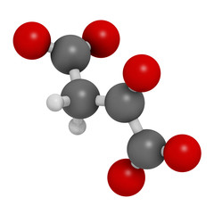 Oxaloacetic acid (oxaloacetate) metabolic intermediate molecule. 3D rendering. Atoms are represented as spheres with conventional color coding: hydrogen (white), carbon (grey), oxygen (red).