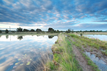 ground road between lakes