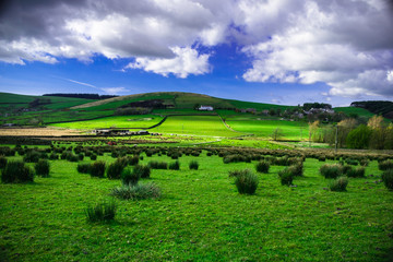 Stunning view at Pendle Hill Area At Springtime