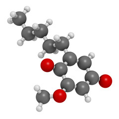Primin primrose plant allergen molecule. 3D rendering. Atoms are represented as spheres with conventional color coding: hydrogen (white), carbon (grey), oxygen (red).