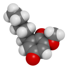 Primin primrose plant allergen molecule. 3D rendering. Atoms are represented as spheres with conventional color coding: hydrogen (white), carbon (grey), oxygen (red).