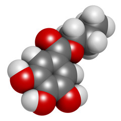 Propyl gallate antioxidant food additive molecule. 3D rendering. Atoms are represented as spheres with conventional color coding: hydrogen (white), carbon (grey), oxygen (red).