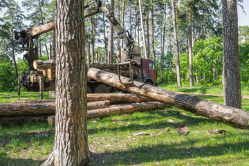Pointing device downloads the timber carrier