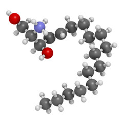 Sphingosine lipid molecule. 3D rendering. Atoms are represented as spheres with conventional color coding: hydrogen (white), carbon (grey), oxygen (red), nitrogen (blue).