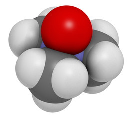 Trimethylamine N-oxide (TMAO) molecule. 3D rendering. Atoms are represented as spheres with conventional color coding: hydrogen (white), carbon (grey), nitrogen (blue), oxygen (red).