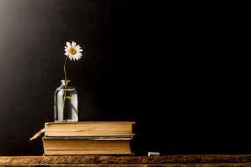 Ancient books on dark background
