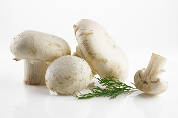 Fresh and appetizing mushrooms isolated on white background