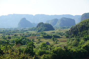 Obraz premium Mountains in the North of Cuba